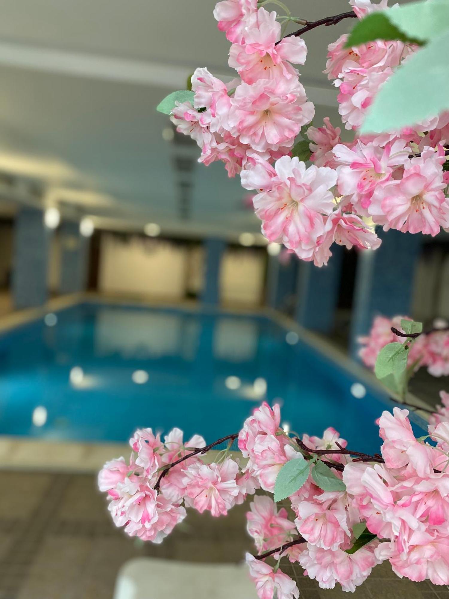 Aparthotel Complex Nero Pamporowo Zewnętrze zdjęcie